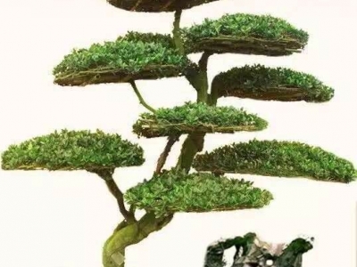 狹小空間作業(yè)